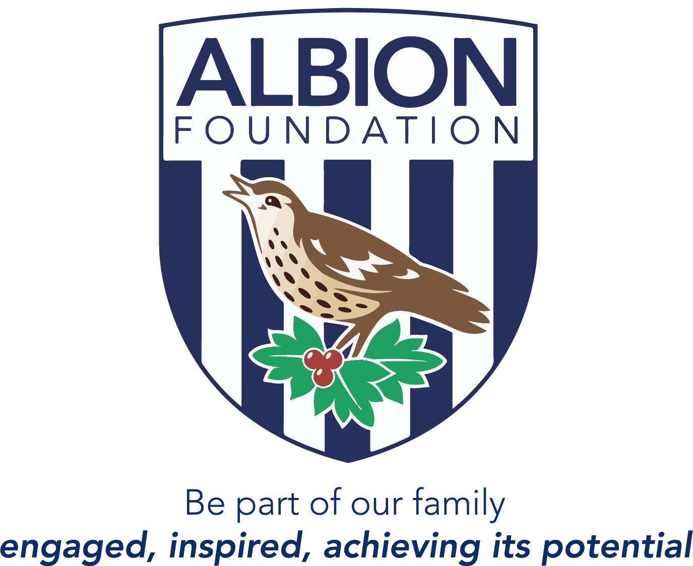 The Albion Foundation 